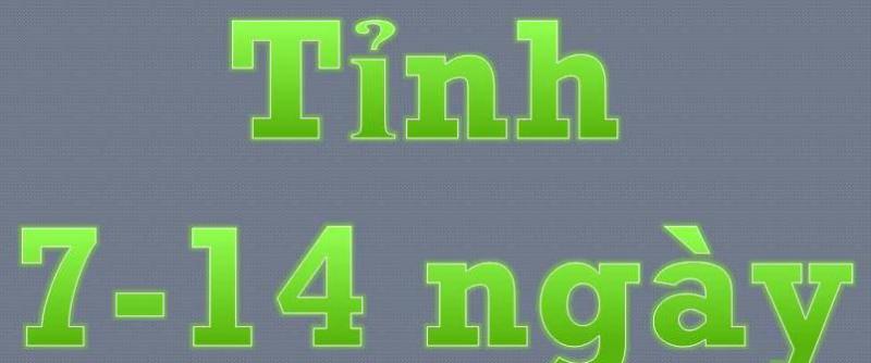 Gift to Tinh